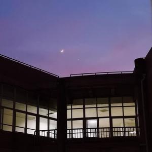 精品+无码➕免费➕下载软件
