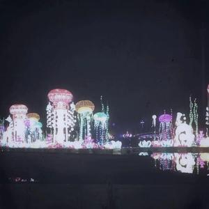 精品+无码➕免费➕下载软件
